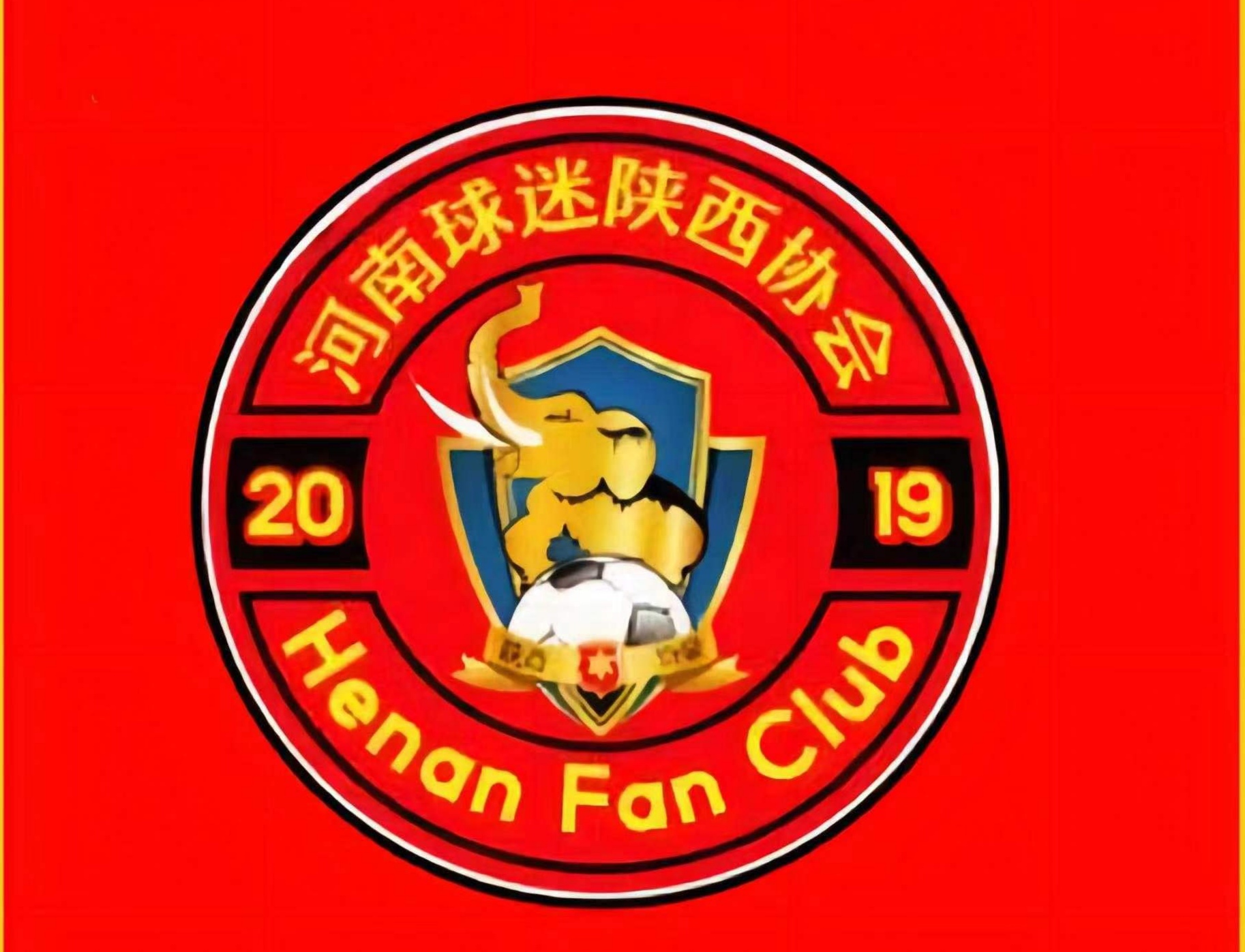 关于建业主场失利，球迷心疼不已的信息