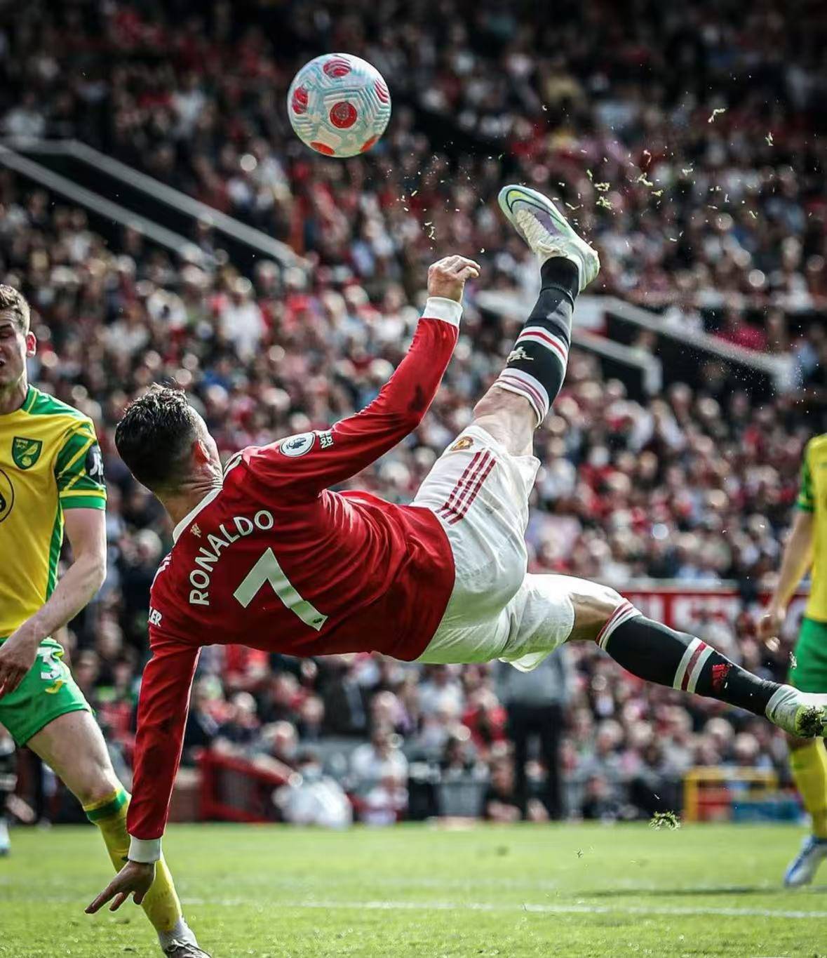 佛罗伦萨球员集体努力,期待在下一轮比赛中取得胜利的简单介绍 佛罗伦萨球员集体努力,期待在下一轮比赛中取得胜利的简单介绍